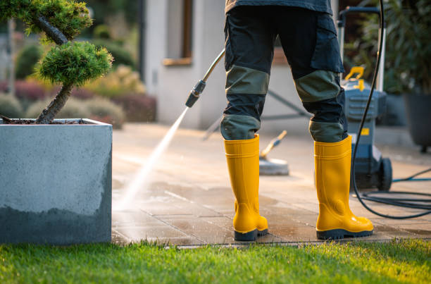 Best Exterior Home Cleaning  in Susquehanna Trails, PA